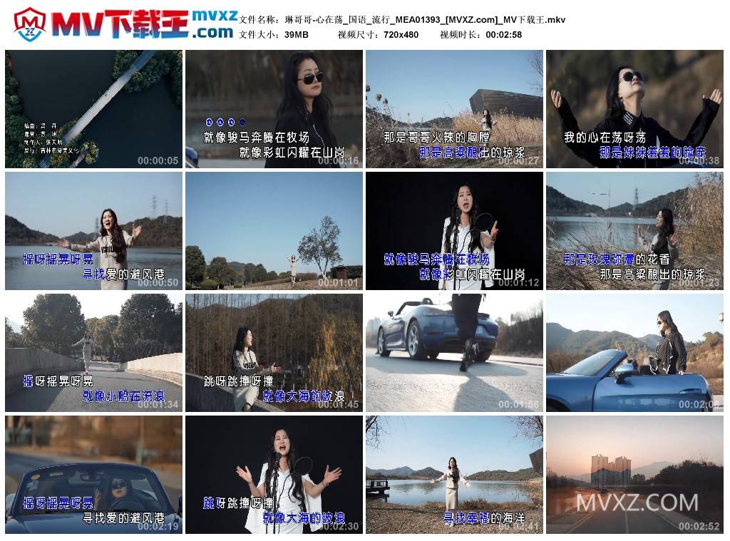 琳哥哥-心在荡_国语_流行_MEA01393